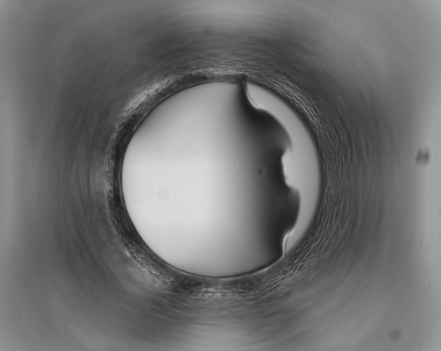 X0000096430732200802211147
