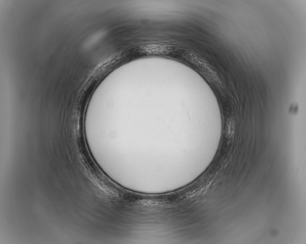 X0000096430733200802211147