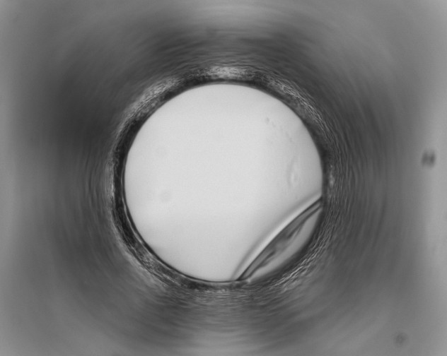 X0000096430734200802211147