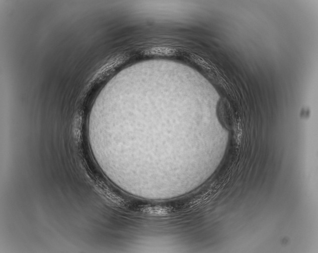 X0000096430735200802211147