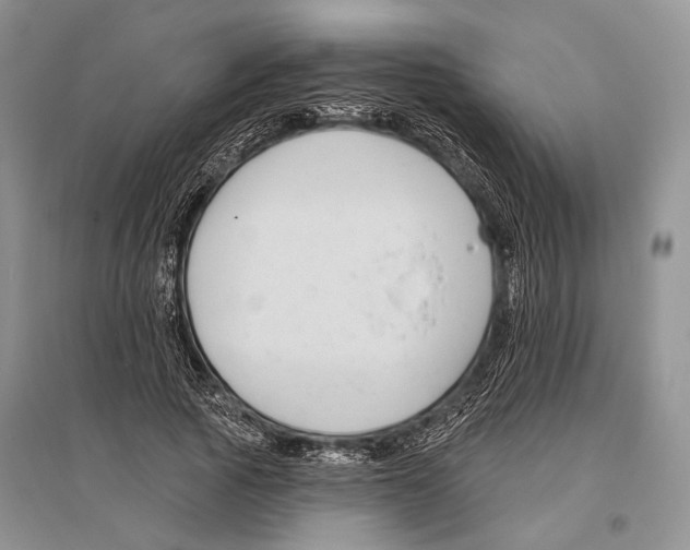 X0000096430737200802211147