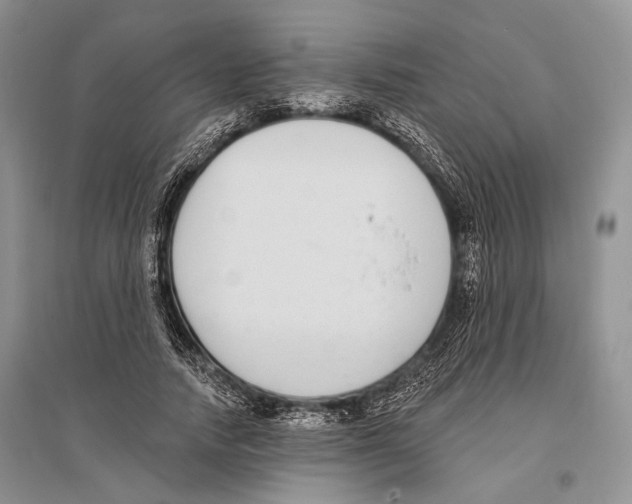 X0000096430738200802211147