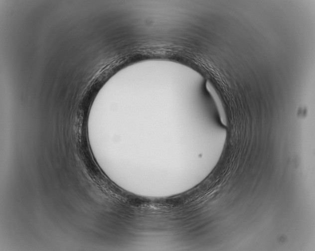 X0000096430739200802211147