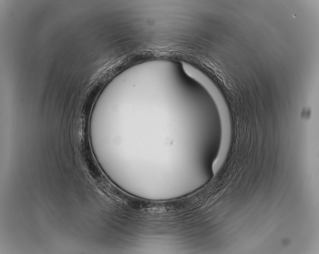 X0000096430740200802211147