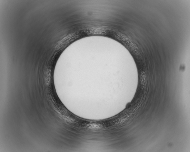 X0000096430741200802211147
