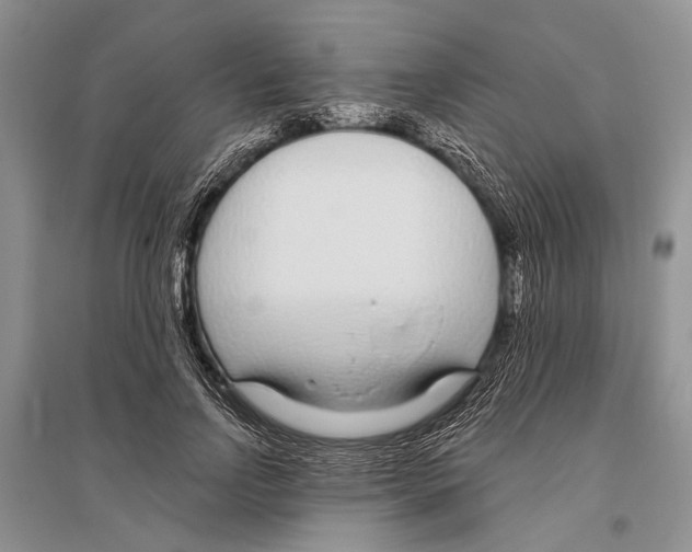 X0000096430742200802211147