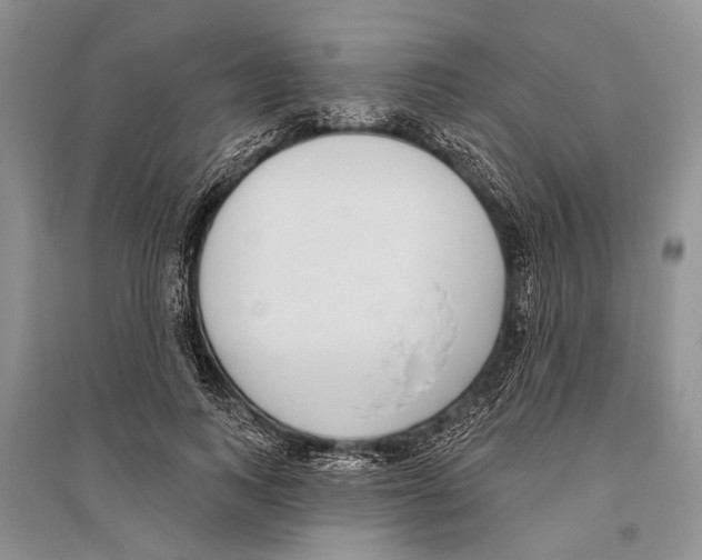 X0000096430743200802211147
