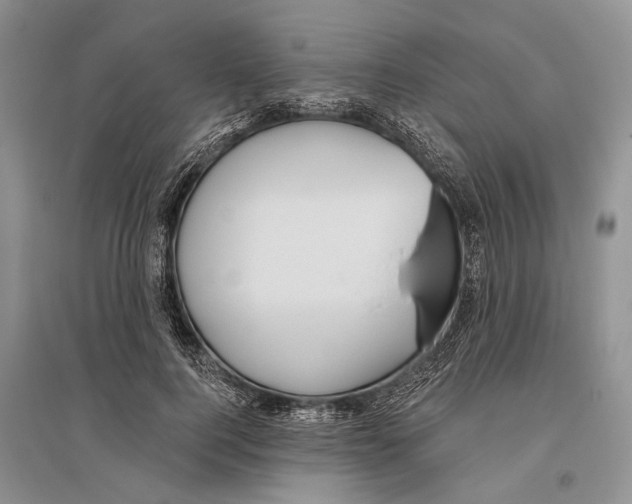 X0000096430744200802211147