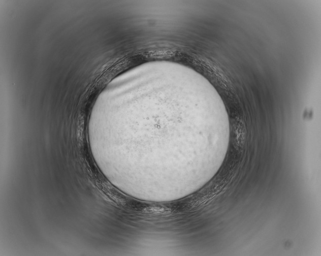 X0000096430745200802211147