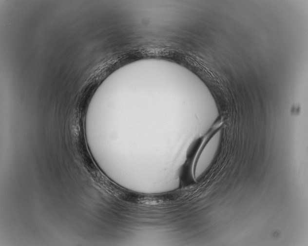X0000096430746200802211147