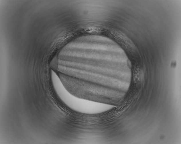 X0000096430748200802211147