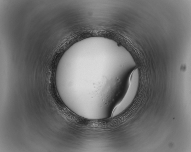 X0000096430750200802211147
