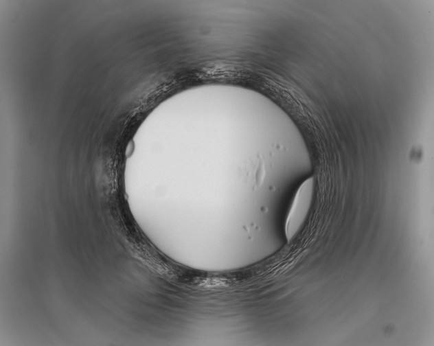 X0000096430751200802211147
