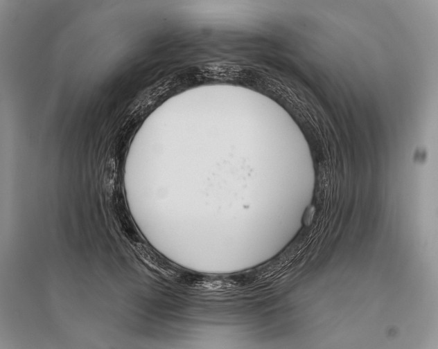 X0000096430752200802211147