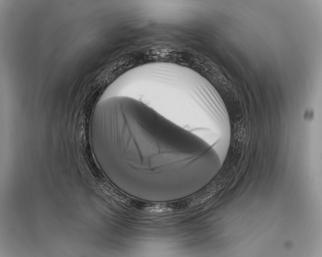 X0000096430754200802211147
