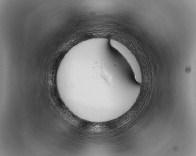 X0000096430755200802211147