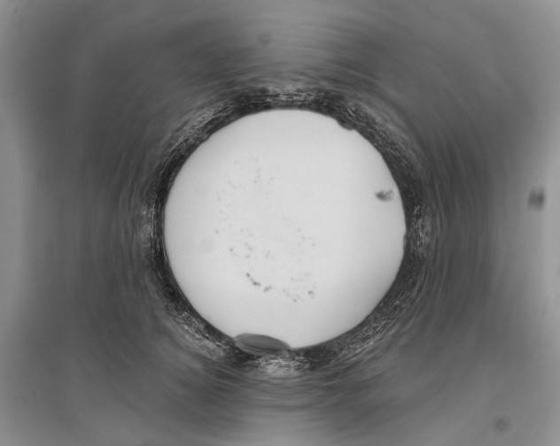 X0000096430756200802211147