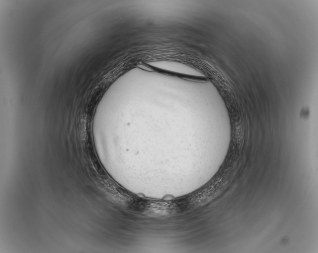 X0000096430757200802211147