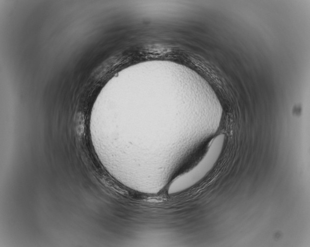 X0000096430758200802211147