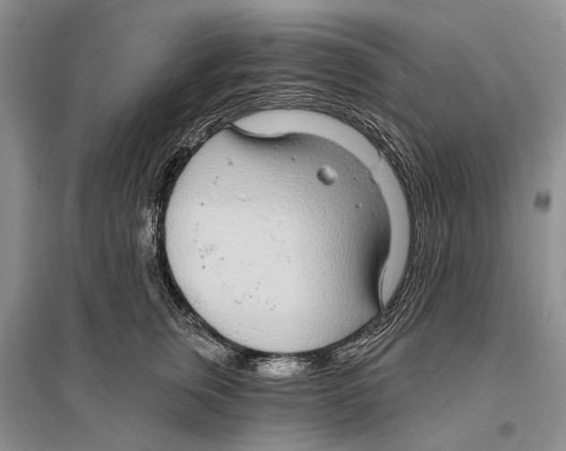 X0000096430759200802211147
