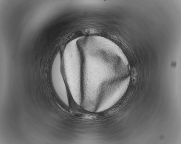 X0000096430760200802211147