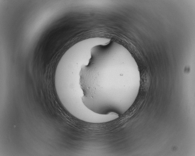 X0000096430762200802211147