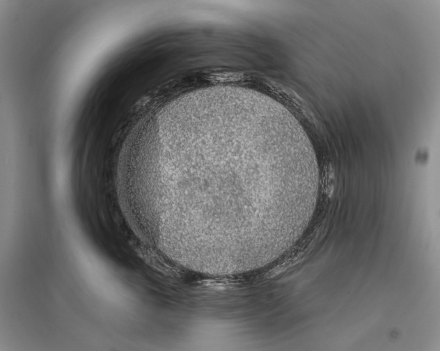 X0000096430763200802211147