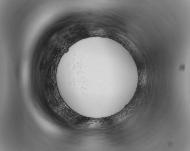 X0000096430764200802211147