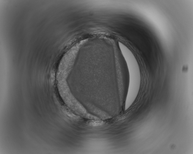 X0000096430767200802211147
