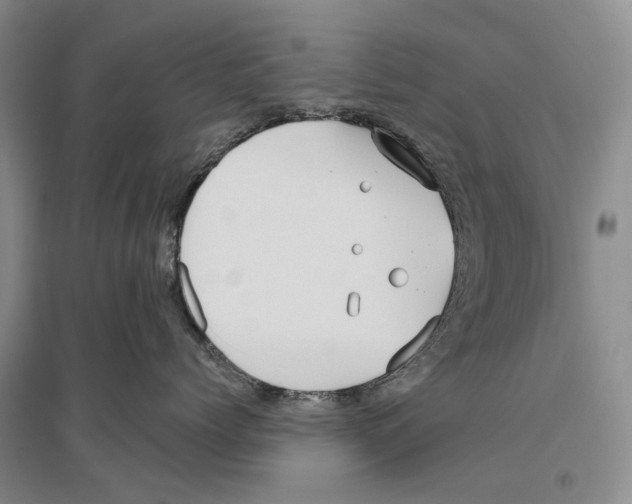 X0000096430768200802211147