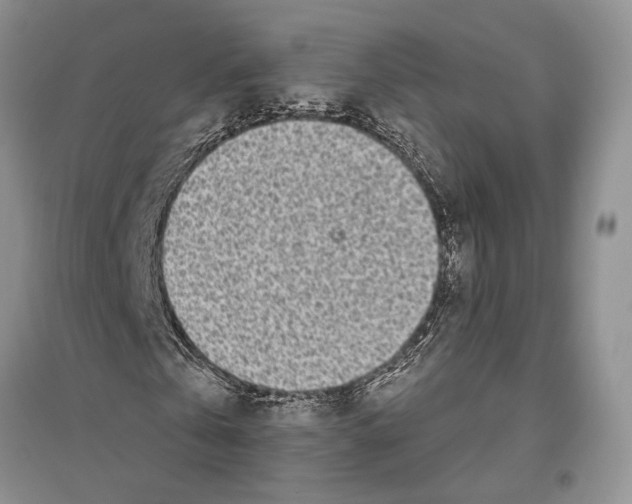 X0000096430769200802211146