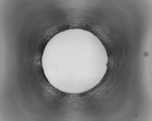 X0000096430770200802211146