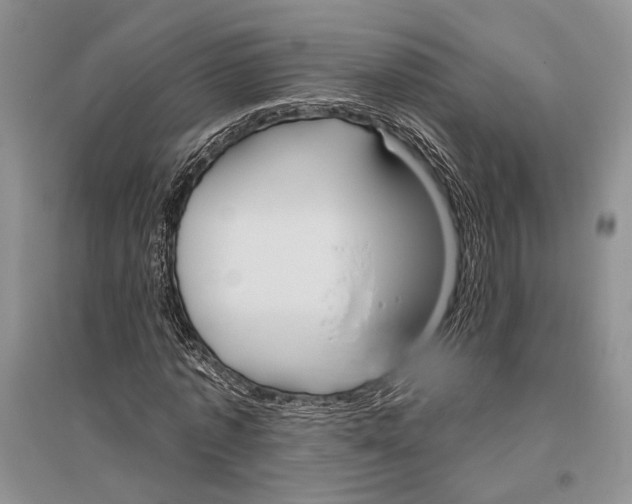 X0000096430773200802211146