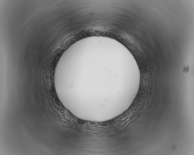 X0000096430774200802211146