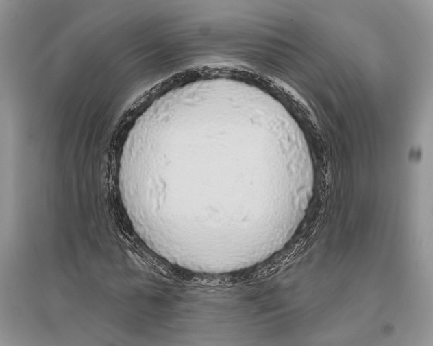 X0000096430775200802211146