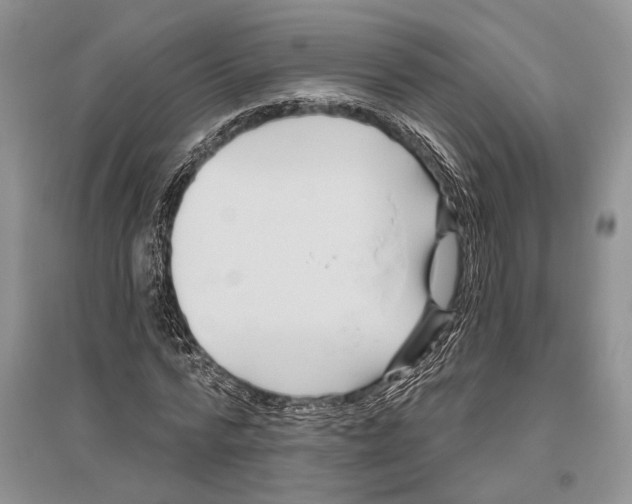 X0000096430776200802211146