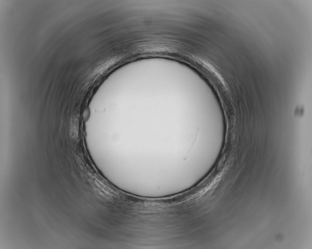 X0000096430777200802211146