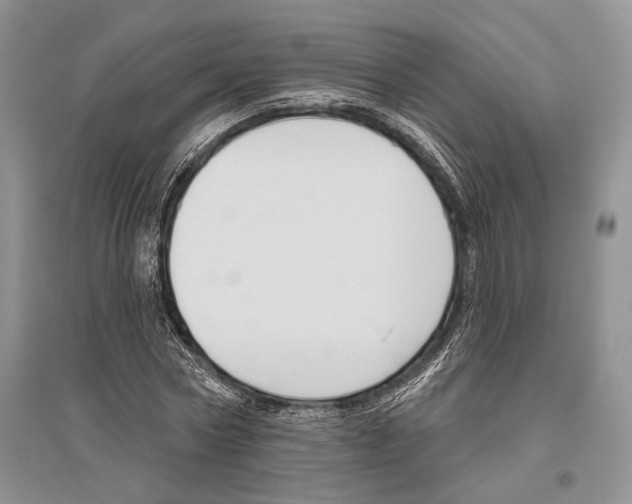 X0000096430778200802211146