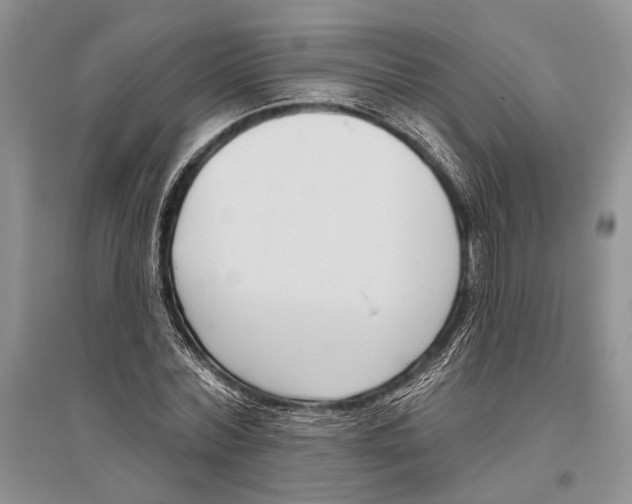X0000096430780200802211146