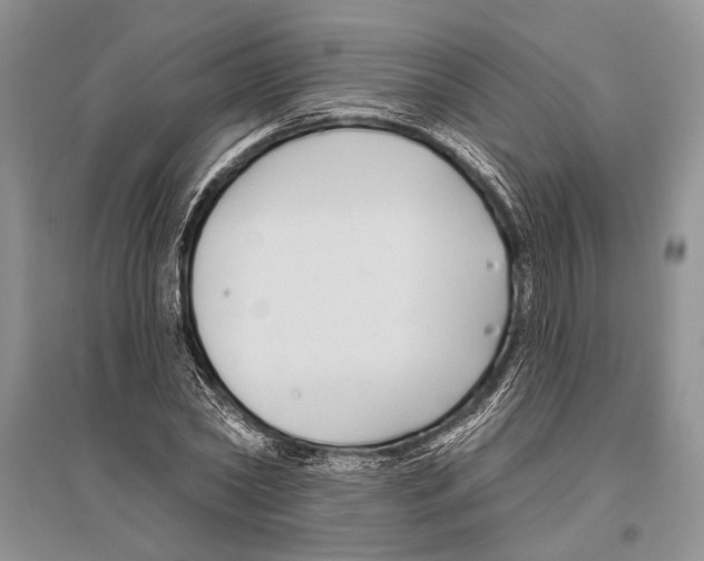 X0000096430782200802211146