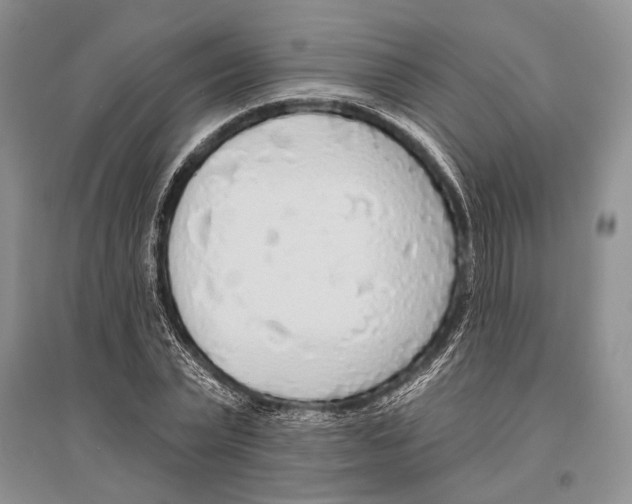 X0000096430783200802211146