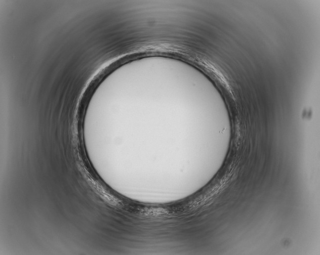 X0000096430784200802211146