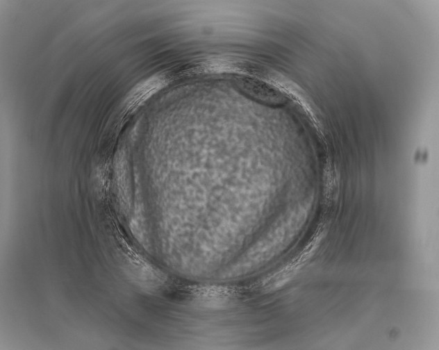 X0000096430785200802211146