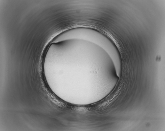 X0000096430787200802211146
