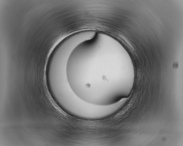 X0000096430788200802211146