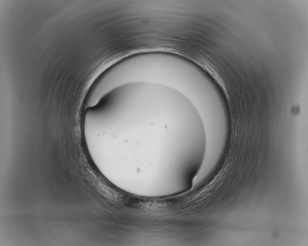 X0000096430789200802211146