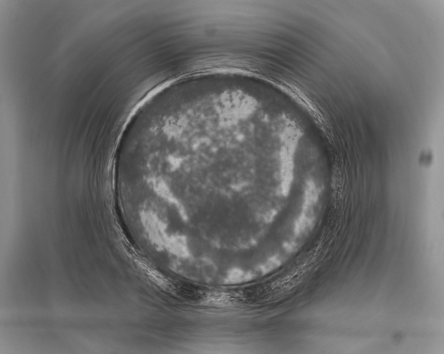 X0000096430790200802211146