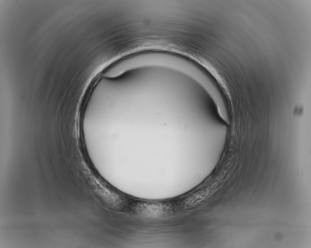 X0000096430791200802211146