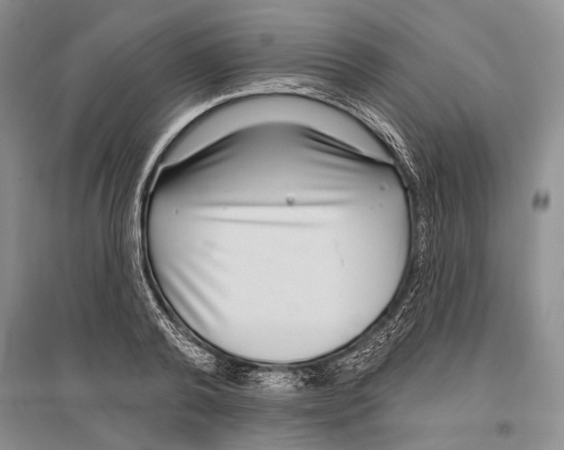 X0000096430792200802211146