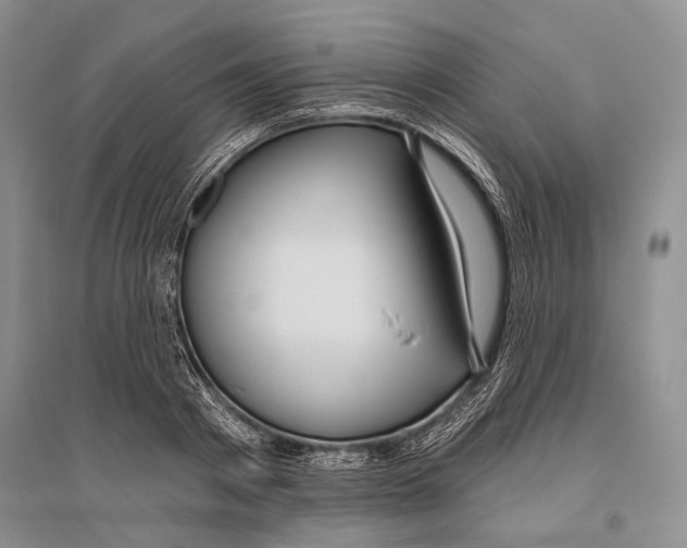 X0000096430793200802211146